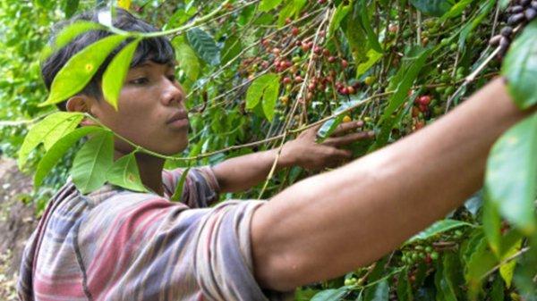 金斧子配资 新年大涨25%！这种商品缘何持续高烧不退丨气变与大宗