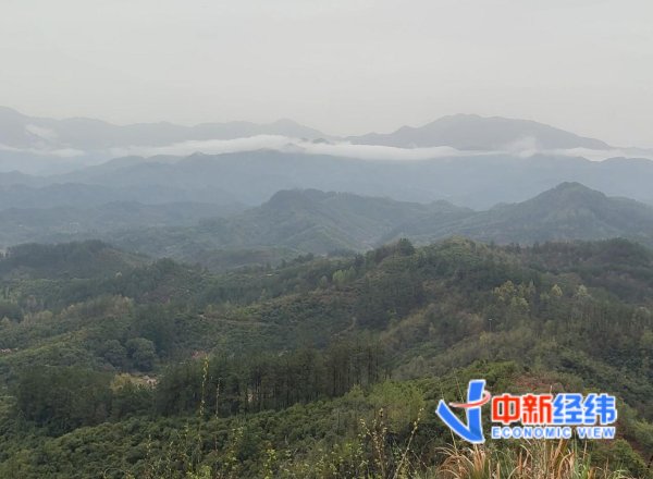 大牛配资网 产业一线｜河南商城：如何用“一滴油”撬动6亿大产业？