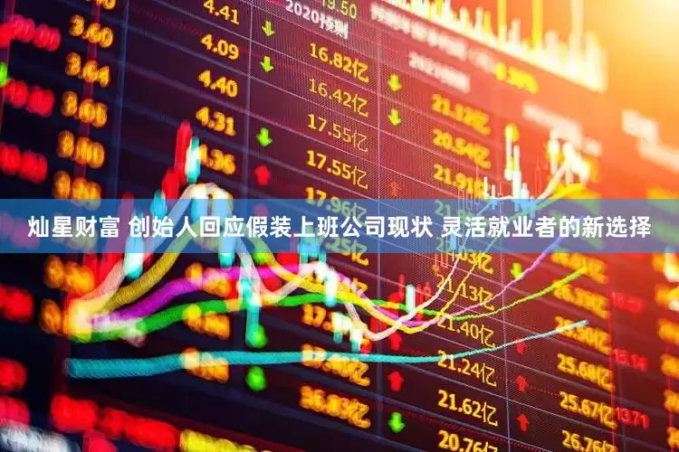 灿星财富 创始人回应假装上班公司现状 灵活就业者的新选择
